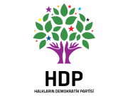 hdp logo